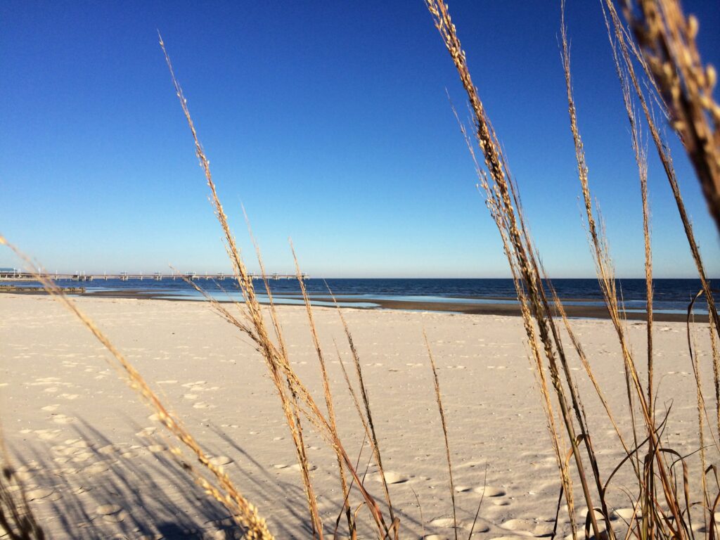 A Day at the Beach on the Mississippi Gulf Coast: Everything You Need to Know